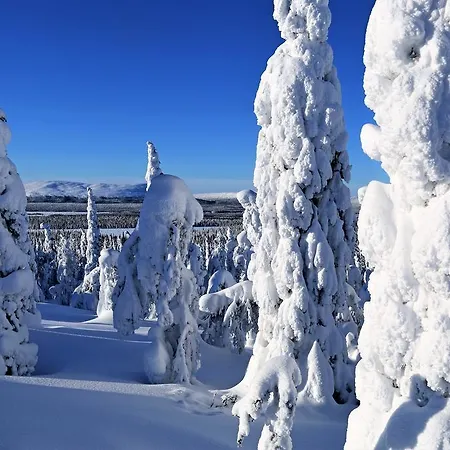 贺兰特图公寓 公寓