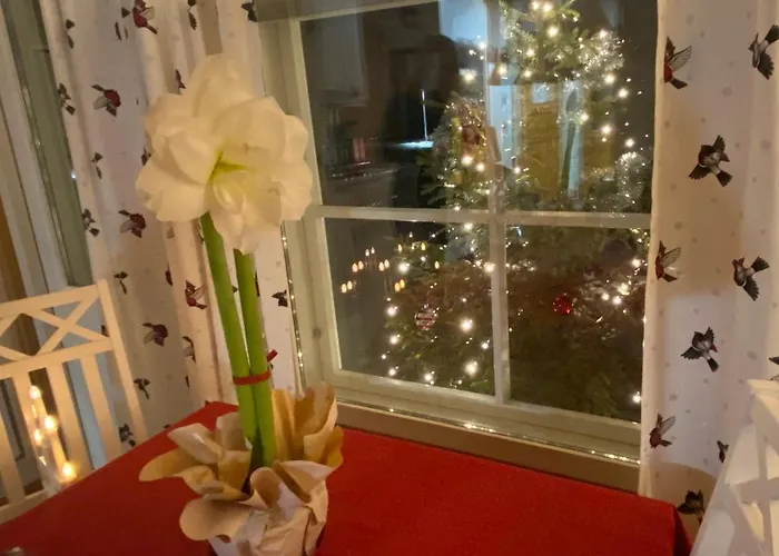 Daire Herranterttu *