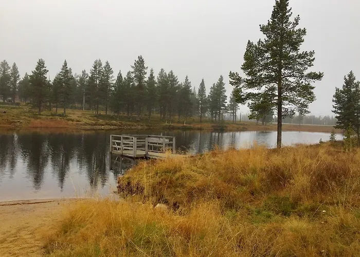 Daire Herranterttu *