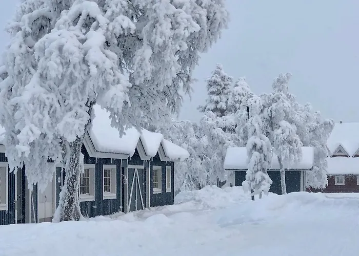 Herranterttu Daire *